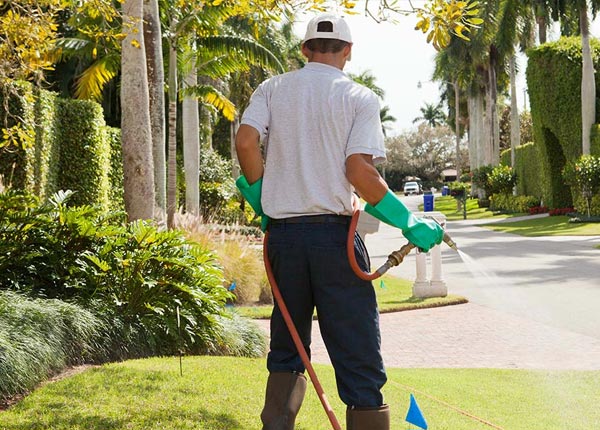 About San Benito TX Pest Control